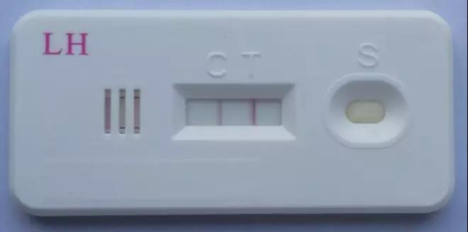 微信图片_20180305141952.jpg