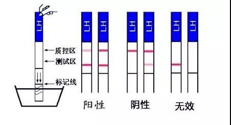 秋季好孕指南！速来领走~