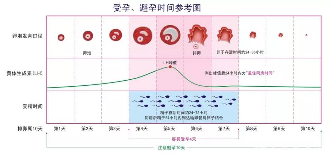 秋季好孕指南！速来领走~